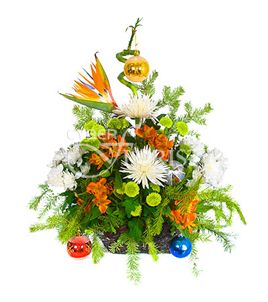 Firework. Bright and sparkling arrangement of exotic flowers for a someone special on a special occasion